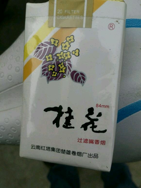 能一直陪伴你的只有香烟 (有没有一款香烟一直陪伴着你)