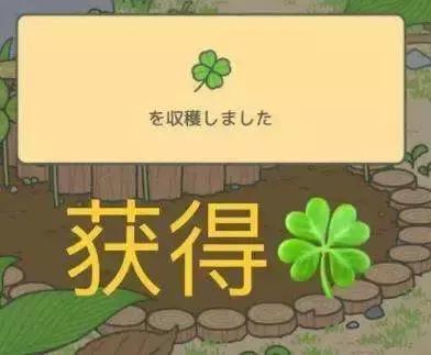 旅行青蛙不同人的养蛙方式,旅行青蛙养蛙指南