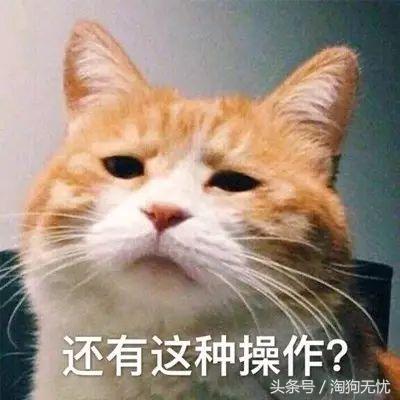 求助小猫被绳子缠住后续,被猫抓了要去打针吗