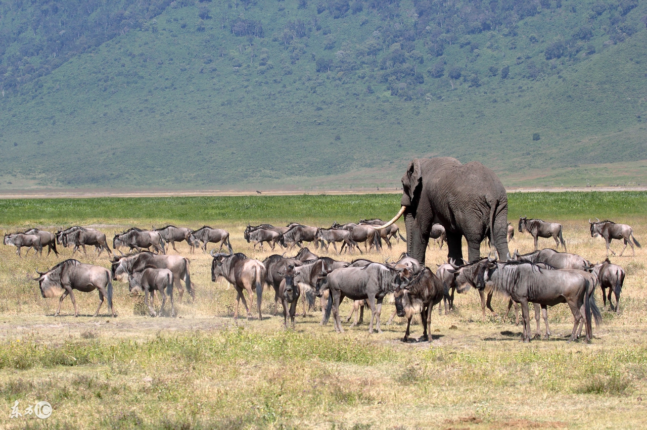 看图旅游,看图旅行