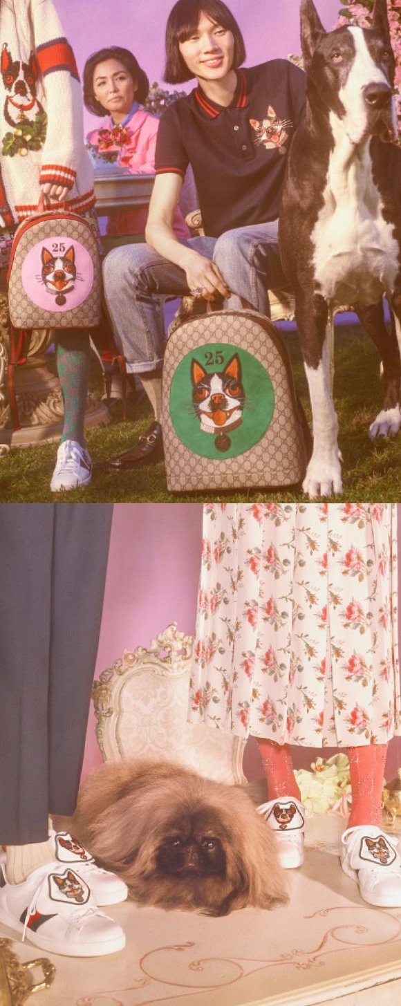 gucci造型,gucci狗年款