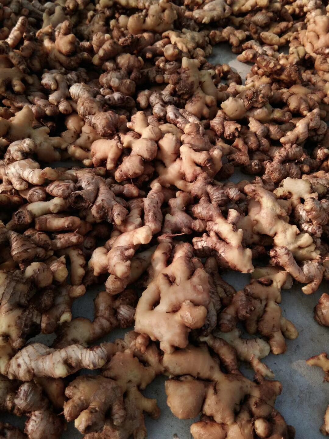 广西农村土制红糖,广西农业种植红糖