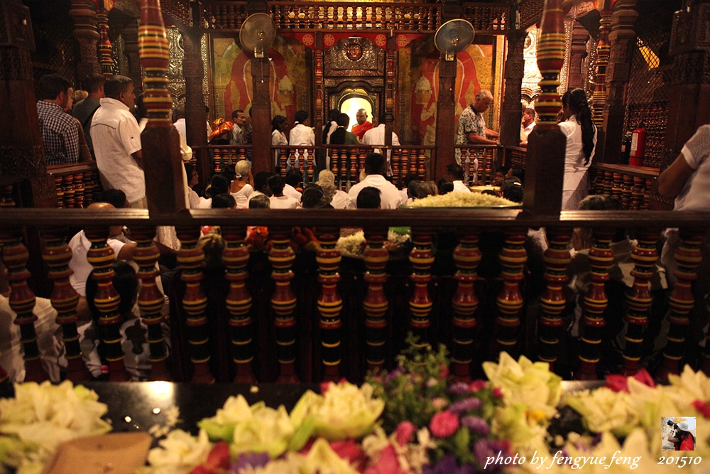 斯里兰卡旅游景点视频全集,斯里兰卡咋去