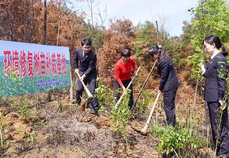 检察机关司法为民理念,检察院司法为民工作总结