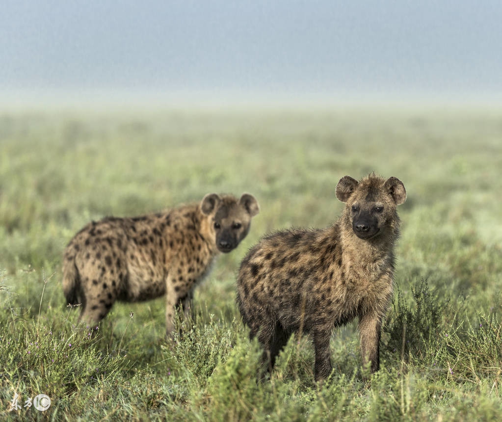 看图旅游,看图旅行