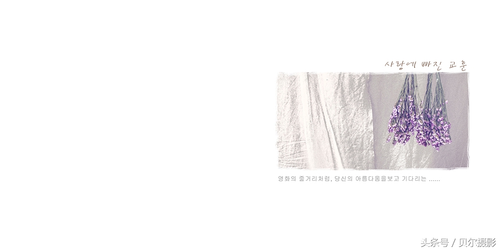 「花香纯爱」贝尔摄影原创灿烂的季节迎接灿烂的你