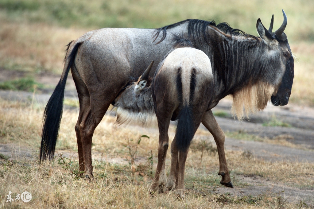看图旅游,看图旅行