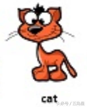 20个动物英语单词,2-8岁儿童学动物英文单词