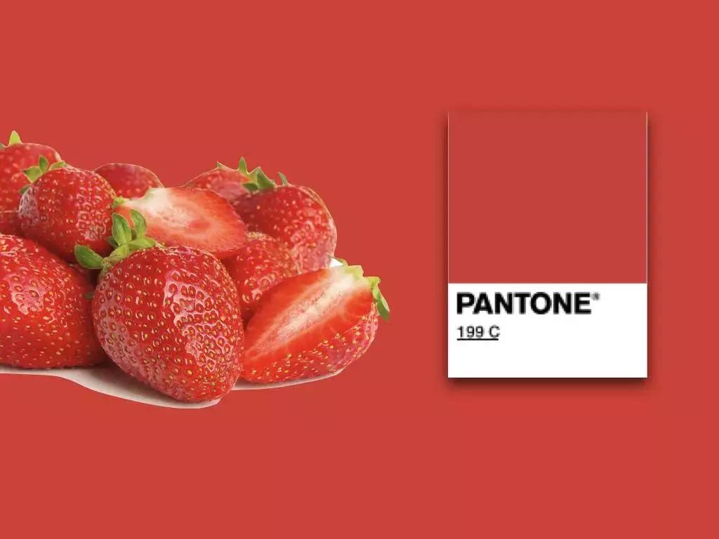 关于口红,这是篇史上最全颜色分析1.0