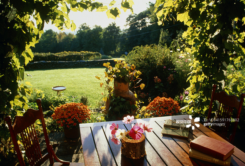 司考准备攻略,司考经验