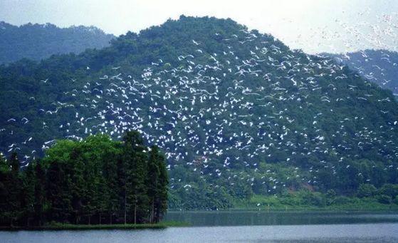 佛山美的鹭湖轻奢度假别墅,佛山美的鹭湖动森物语别墅