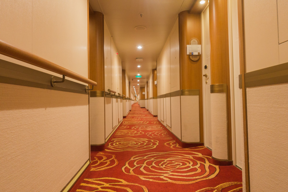 邮轮旅游的魅力,探秘邮轮旅游的奢华与实惠