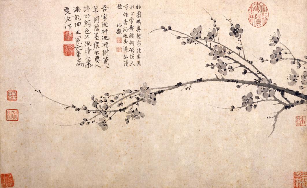 王冕画梅有何特别之处,王冕为什么要隐居山中不愿意当官