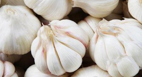 酸菜鱼工艺配方,做酸菜鱼哪种酸菜配料好吃