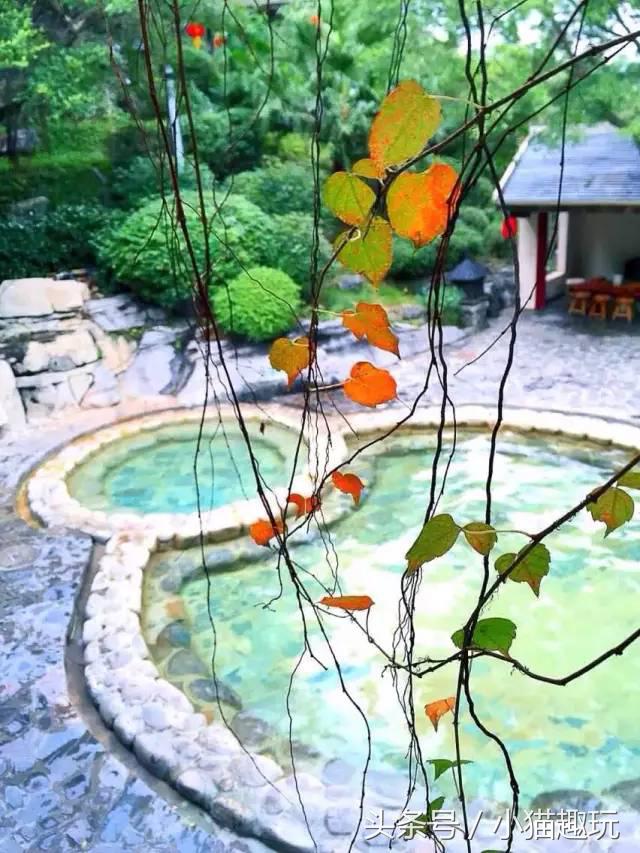 英德奇洞温泉特价门票多少钱一张,英德奇洞温泉度假区两日自驾游