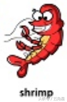 20个动物英语单词,2-8岁儿童学动物英文单词