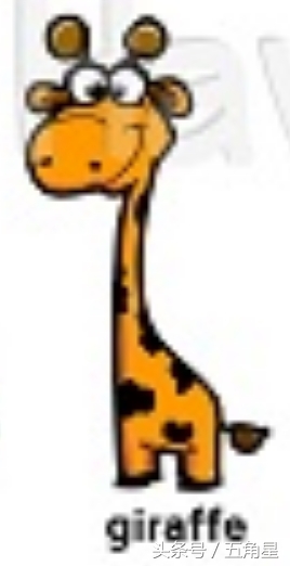 20个动物英语单词,2-8岁儿童学动物英文单词