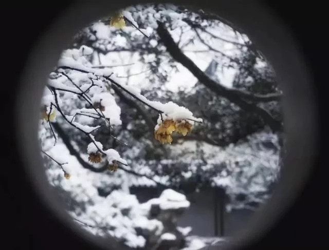 下雪天跑步和正常跑步差多少,在下雪天跑步要注意什么