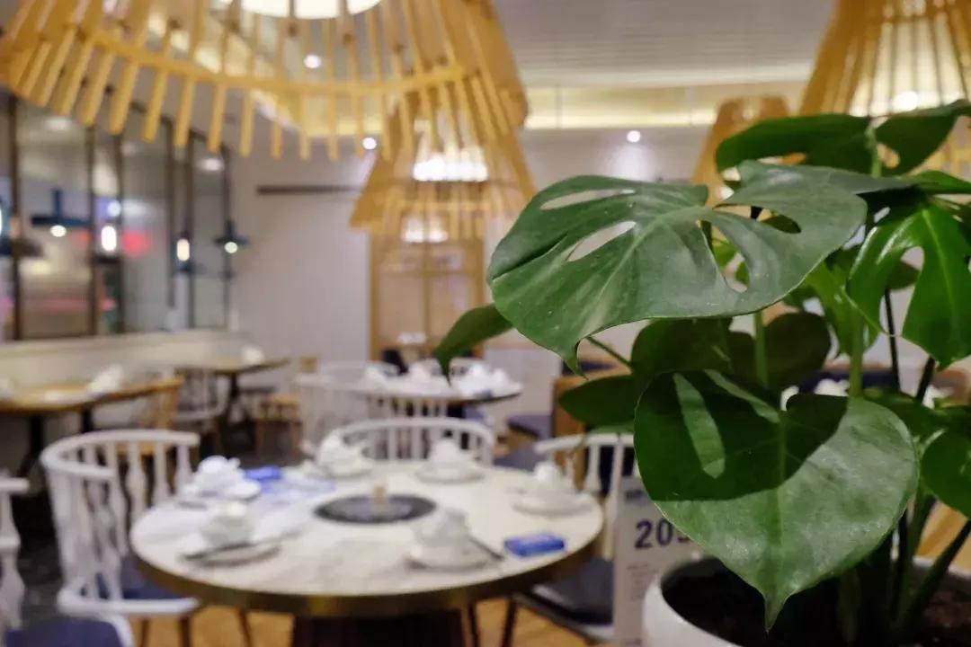 贵阳平价海鲜店,高大上的海鲜店装修