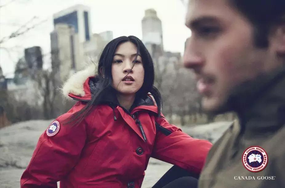 新加拿大鹅羽绒服,加拿大鹅羽绒服为什么火了