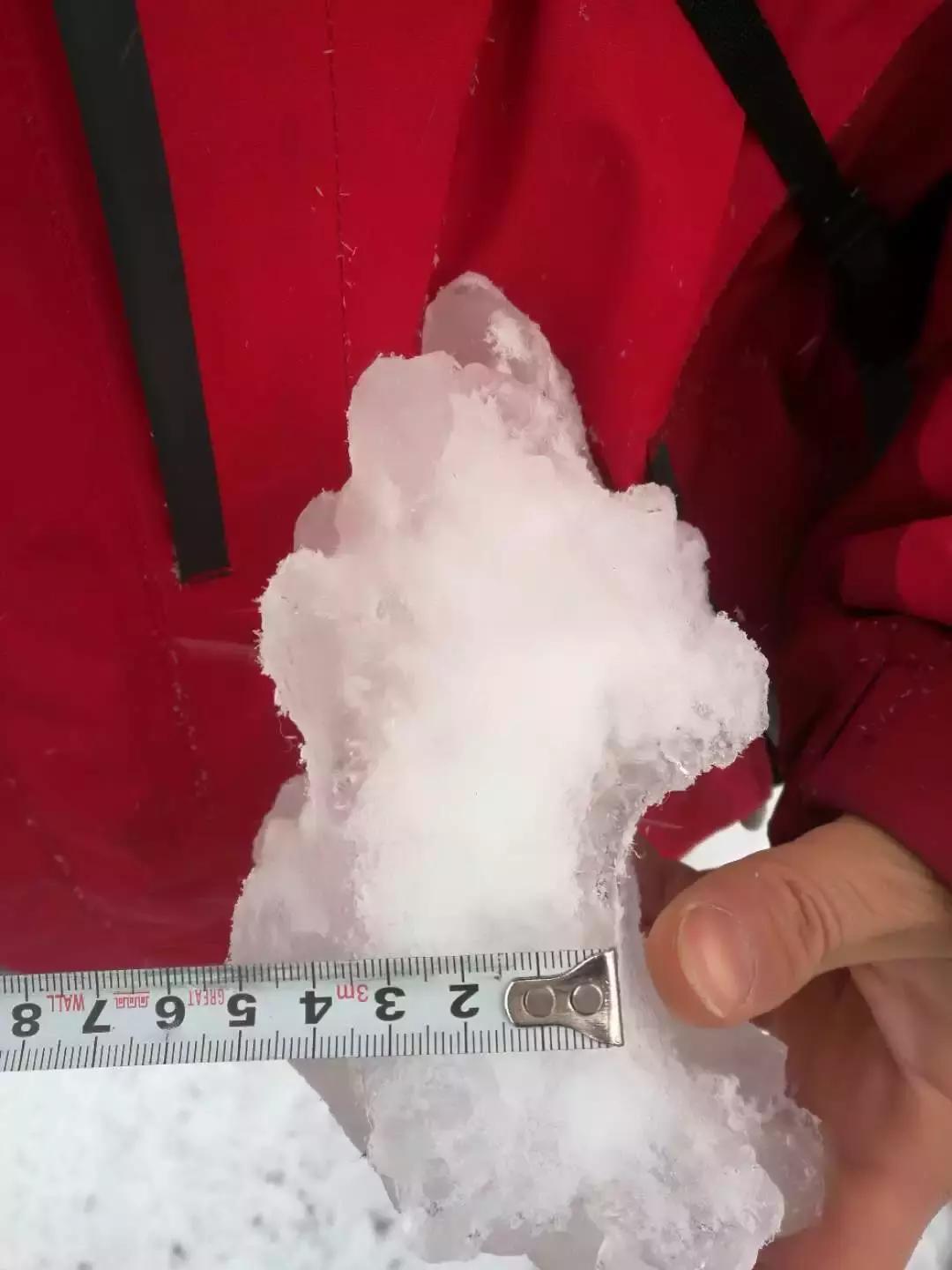 2018年，我们多了一名“抗冰战士”，你们猜是谁？