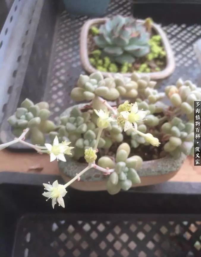 遇见你真是很幸运,遇见你真的很幸运下一句