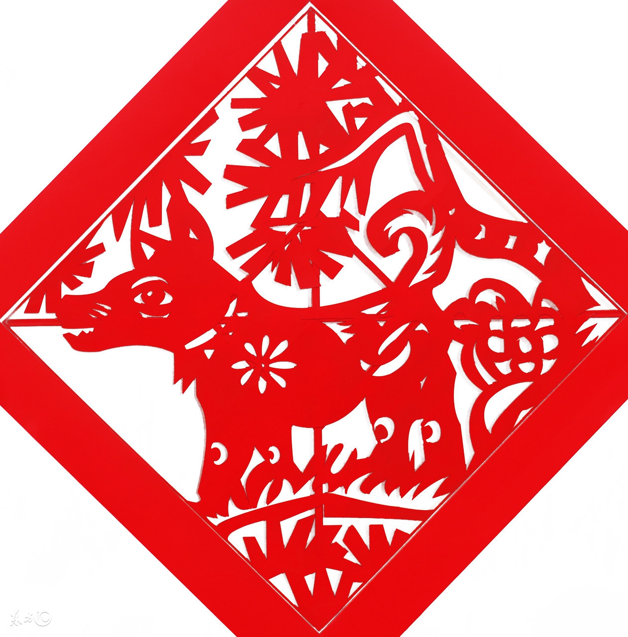 什么是本命年本命年应该忌讳什么,说说本命年大家都发生的事情