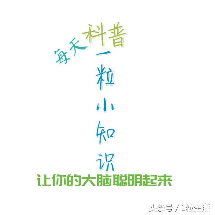 大扫除盘子怎么清洗,大扫除如何消毒