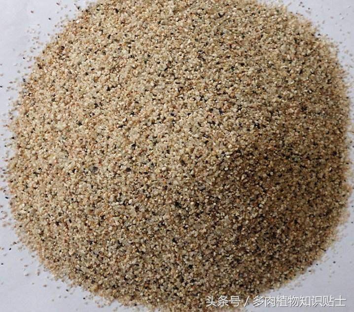 多肉植物用哪种土壤好,多肉植物什么土壤比较好