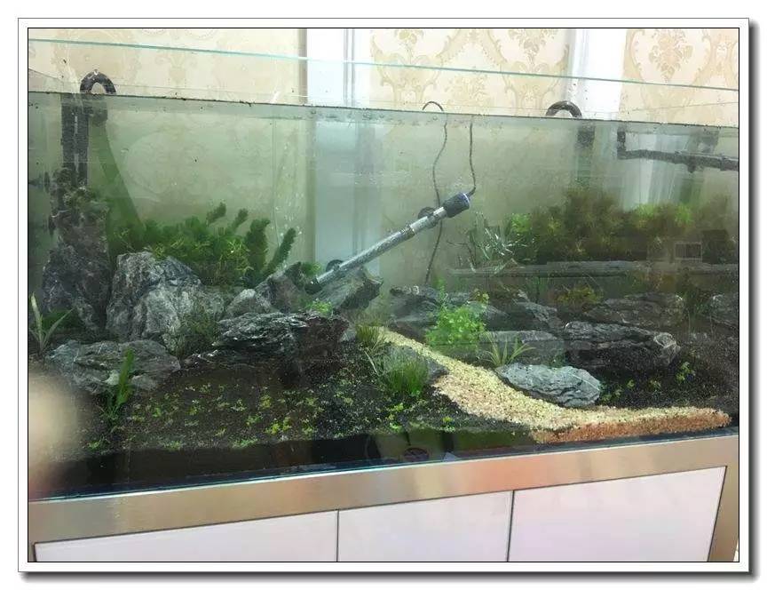 新手入坑的一点感悟,社区演讲精华篇