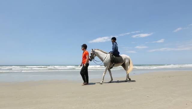 做车模都要去哪里,做车模