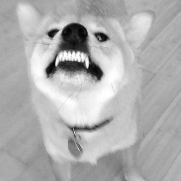 权志龙巴黎陈冠希,权志龙与朋友私下聚餐