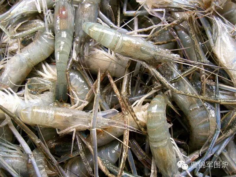 你好，我叫黄梅，这是我的简历