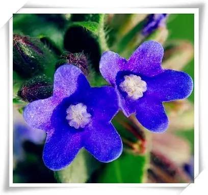 芈月传剧情讲解完结,芈月传剧情全解说完结