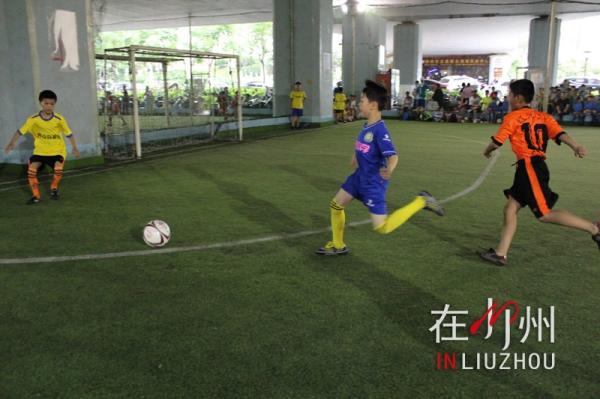 2024柳州小学生足球比赛,柳州小学区长杯足球比赛