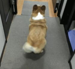 如何杜绝黄色思想,黄色思想的危害