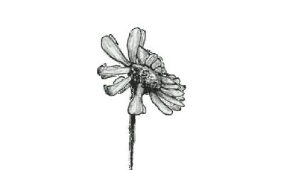 夏天适合混合肌肤用的面霜,夏天护肤搭配推荐什么面霜