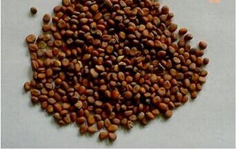 解决便秘小秘招,专治便秘的神秘秘方