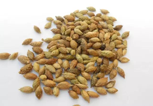 孩子过敏性鼻炎老不好怎么办,过敏性鼻炎导致睡眠不好