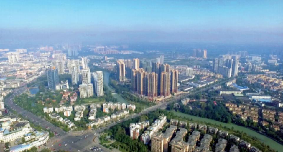 衰老的金丝熊,衰老的三大特征