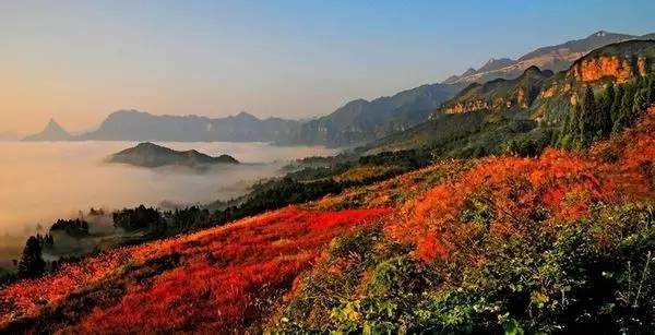 春节重庆免费景点大全,重庆自驾免费景点