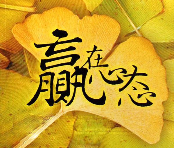 司法考试100天如何备考,司法考试大家如何考过的