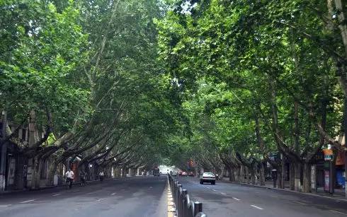 郑州京广路城市记忆,郑州南大街的回忆