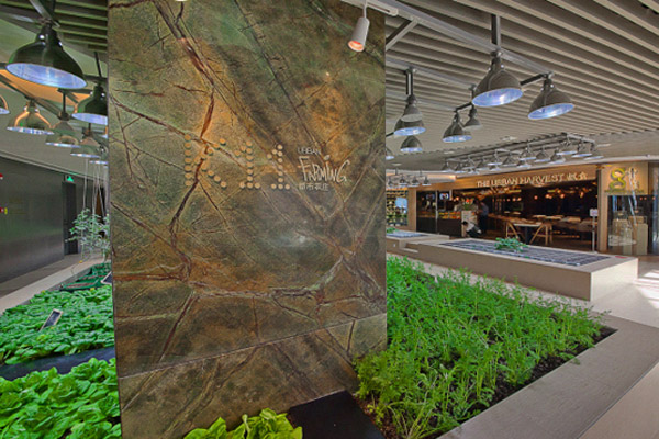 欢乐颂五美安迪家吃火锅第几集,欢乐颂五美齐聚吃火锅