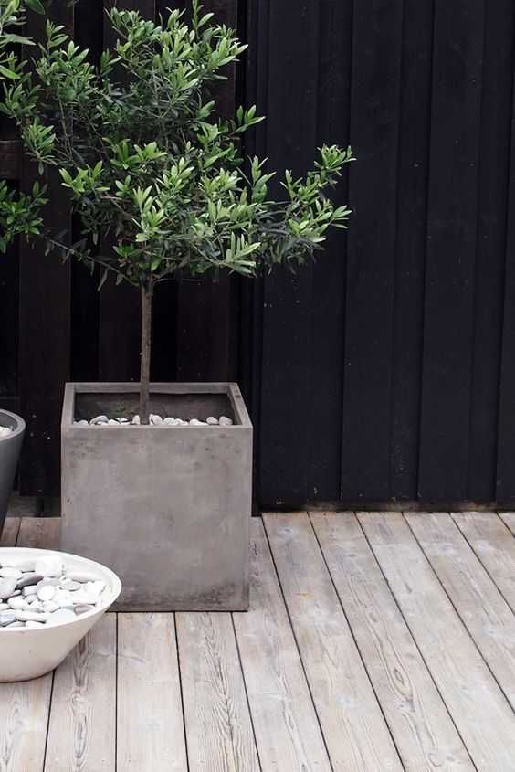 性冷淡风最好的方法,性冷淡风如何用药