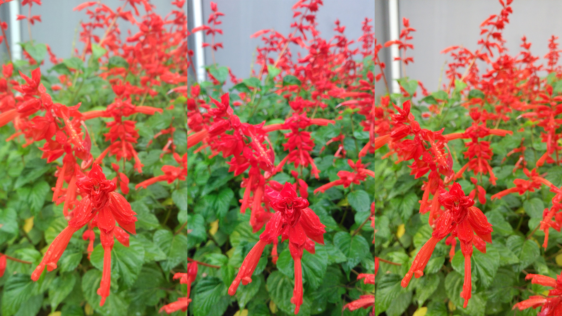 锤子坚果手机现在值得入手吗,坚果手机体验评测