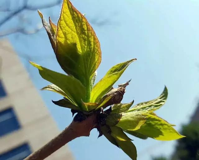 夏日乐悠最新视频,夏日乐悠游