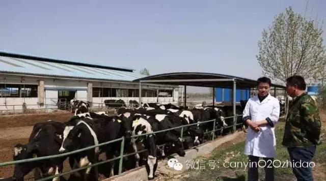 野人牧坊为啥这么火,野人牧坊营业时间