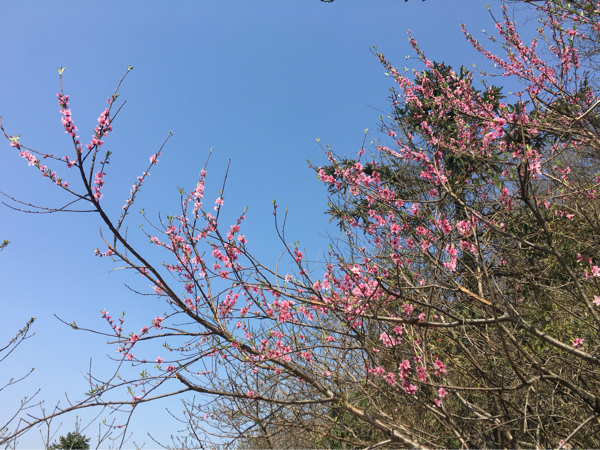 随州广水三潭风景区图片,随州广水三潭风景区门票价格