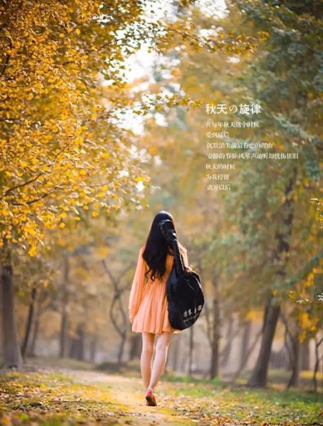 紫溪半岛,紫溪半岛花海